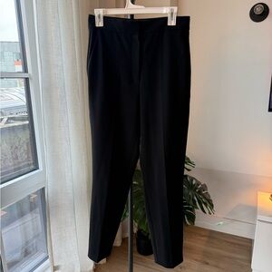 Babaton (Aritzia) High-Waisted Tailored Trousers